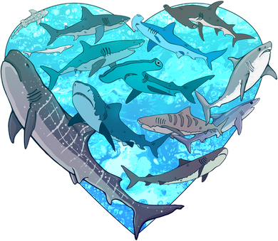 Cool Shark Love Heart Tumbler